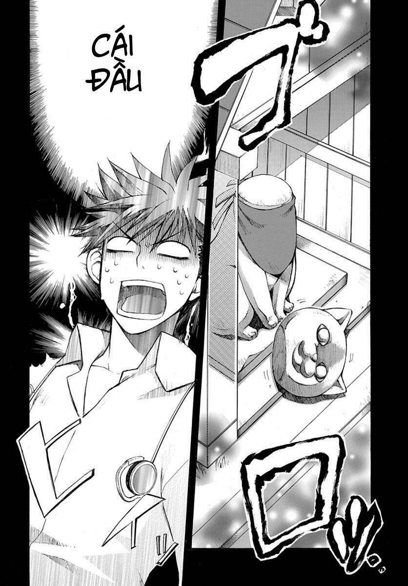 Nyankoi! Chapter 1 - Trang 10