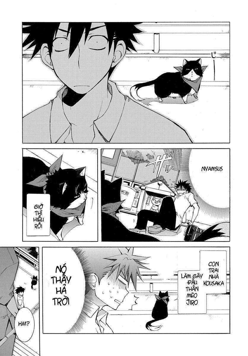 Nyankoi! Chapter 1 - Trang 13
