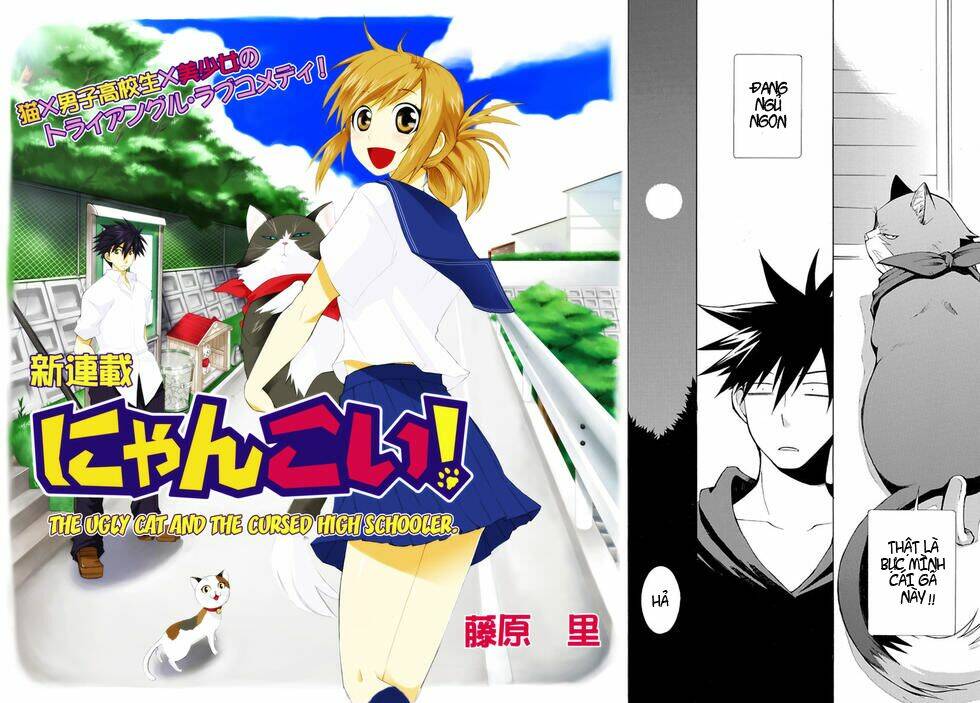 Nyankoi! Chapter 1 - Trang 1