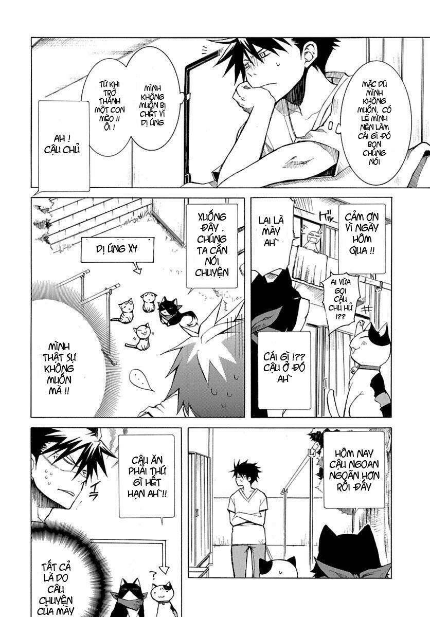 Nyankoi! Chapter 1 - Trang 24