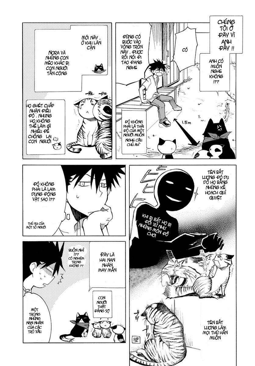 Nyankoi! Chapter 1 - Trang 25