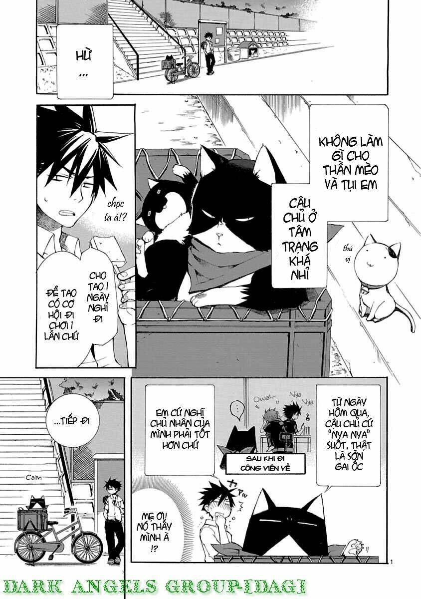 Nyankoi! Chapter 10 - Trang 3