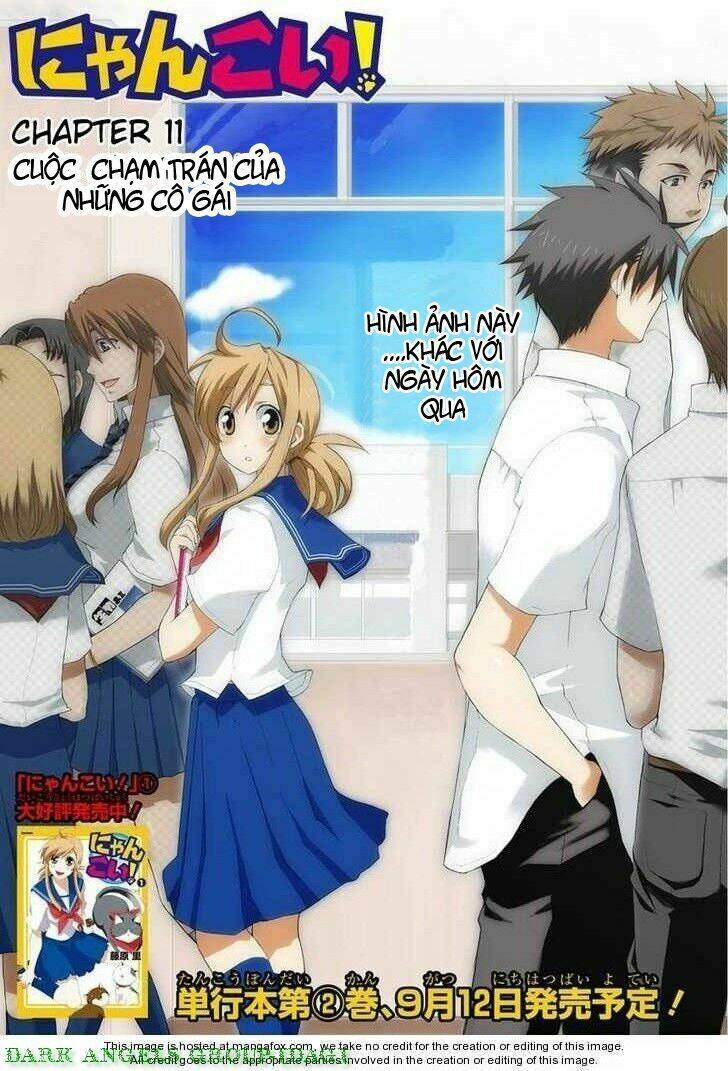 Nyankoi! Chapter 11 - Trang 1