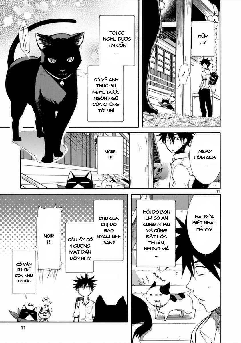 Nyankoi! Chapter 12 - Trang 11