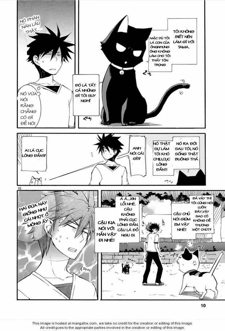 Nyankoi! Chapter 13 - Trang 10