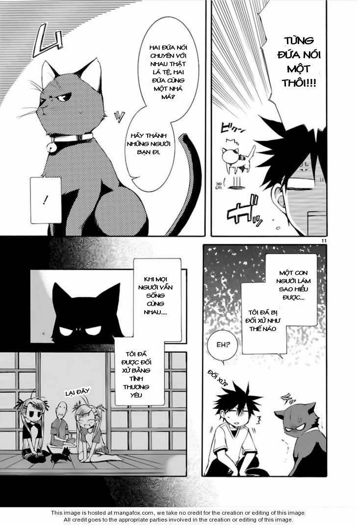 Nyankoi! Chapter 13 - Trang 11