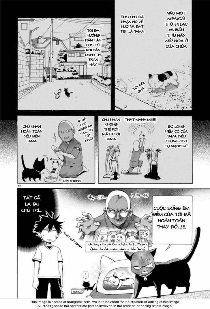 Nyankoi! Chapter 13 - Trang 12