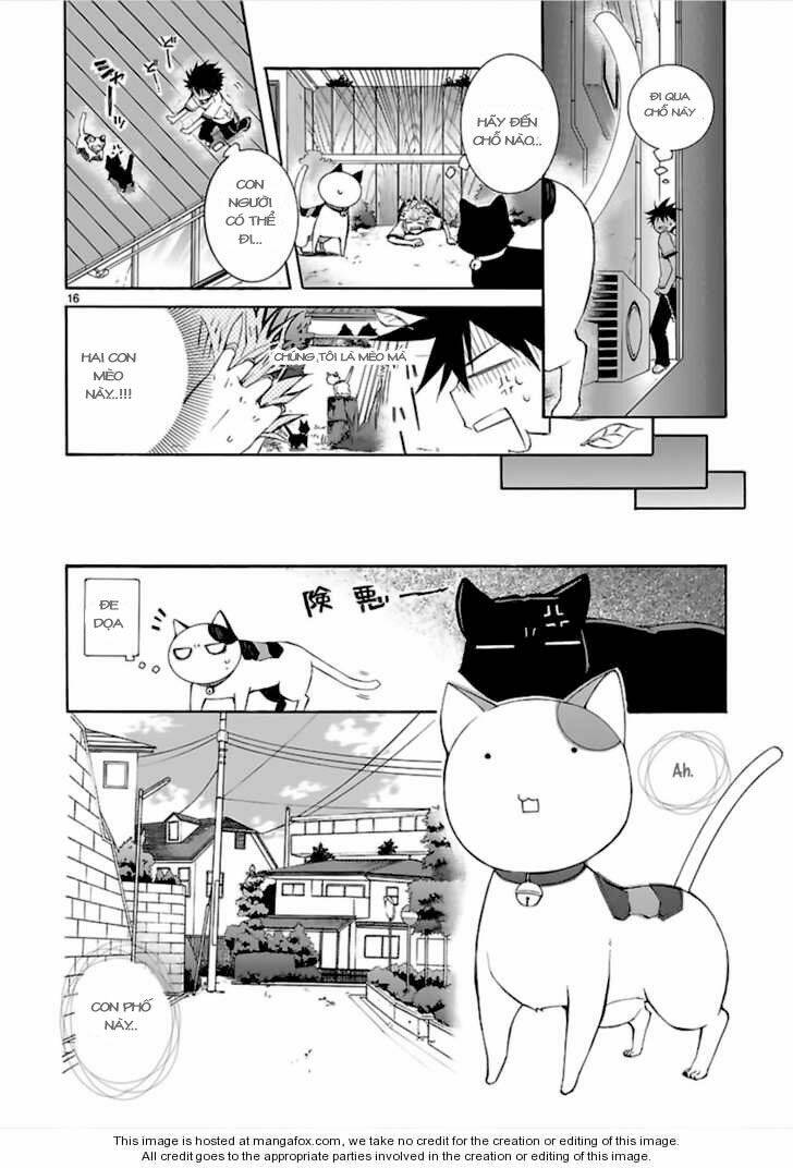 Nyankoi! Chapter 13 - Trang 16