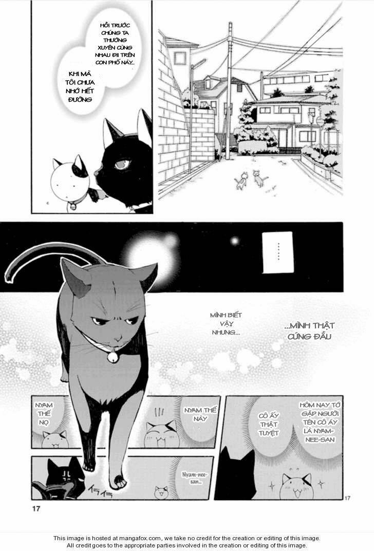 Nyankoi! Chapter 13 - Trang 17