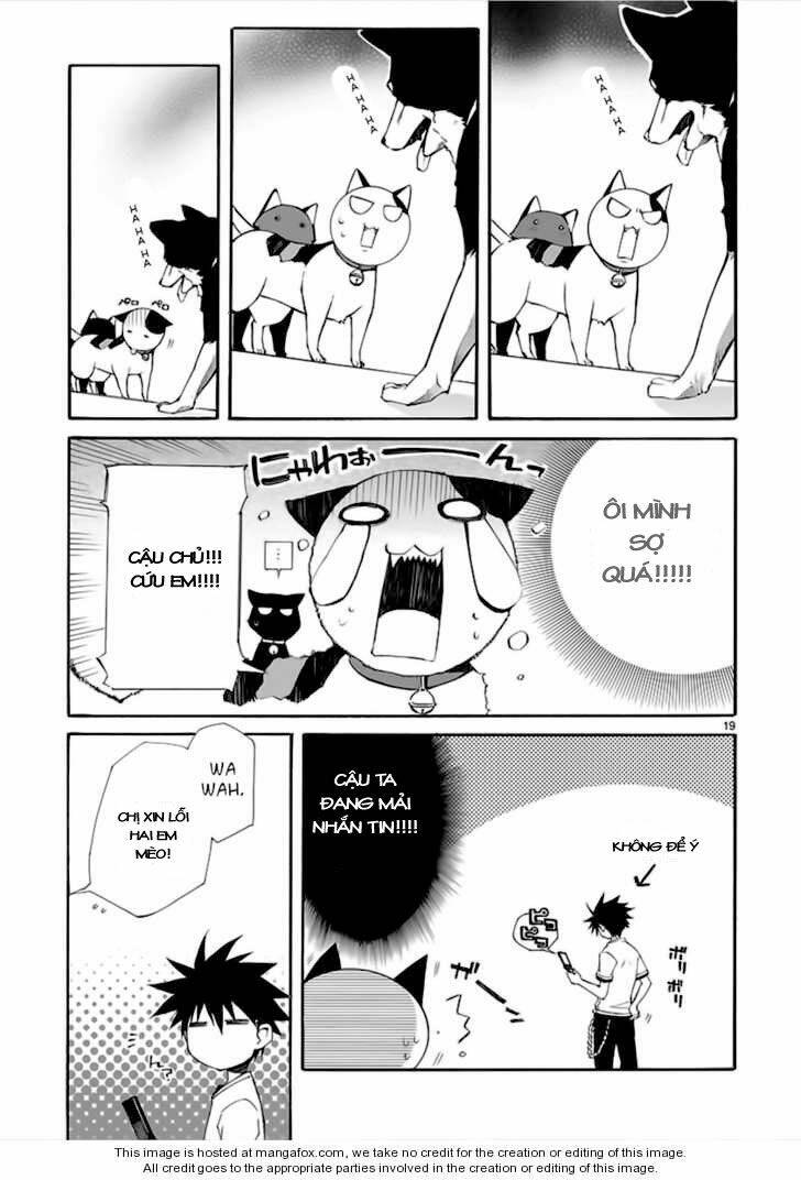 Nyankoi! Chapter 13 - Trang 19
