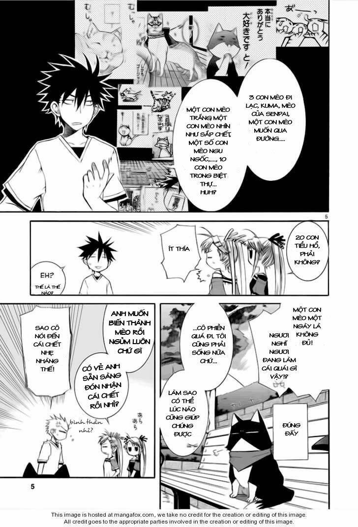 Nyankoi! Chapter 13 - Trang 5