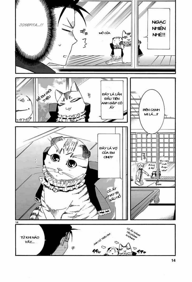 Nyankoi! Chapter 18 - Trang 14