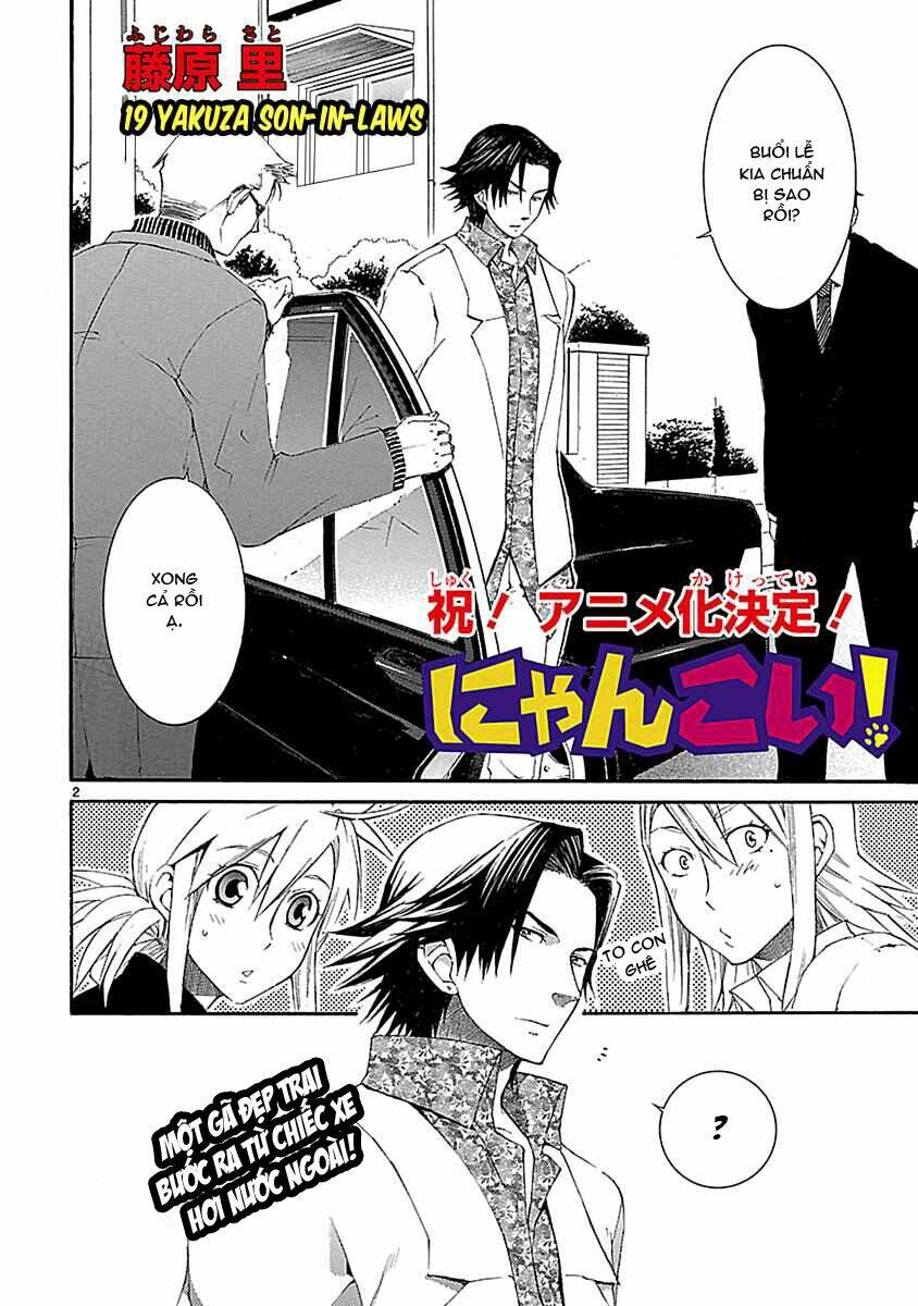 Nyankoi! Chapter 19 - Trang 3