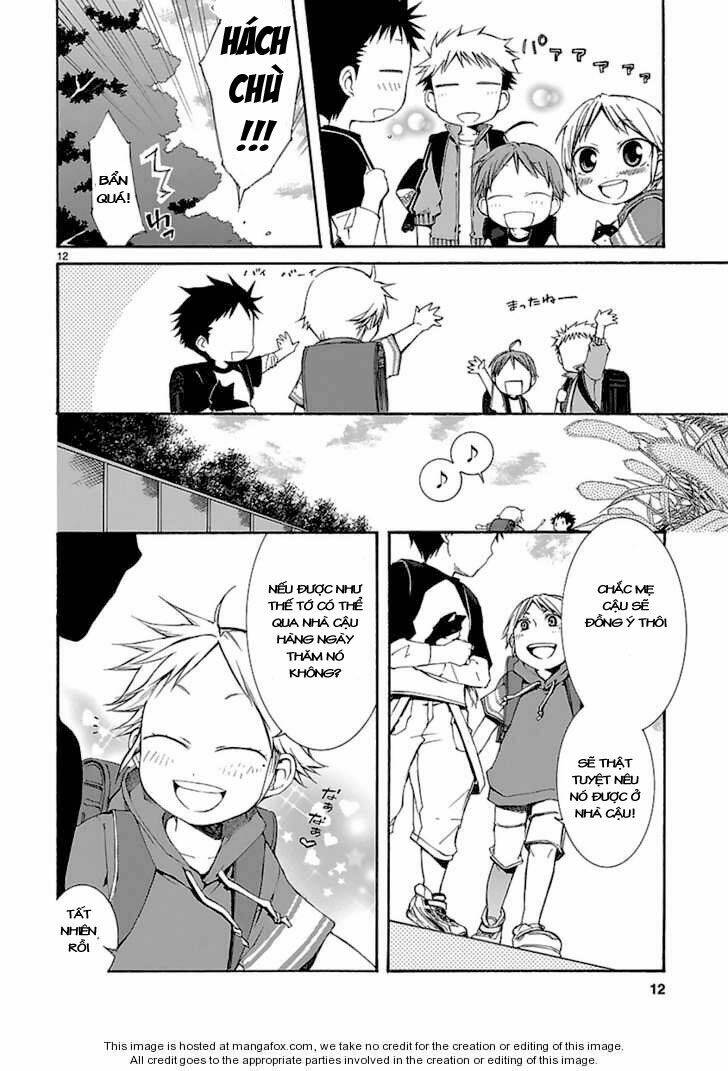 Nyankoi! Chapter 20 - Trang 12