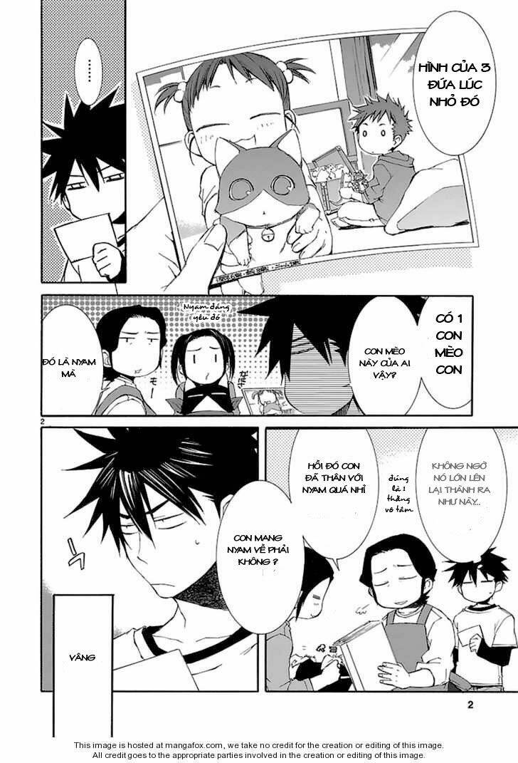 Nyankoi! Chapter 20 - Trang 2