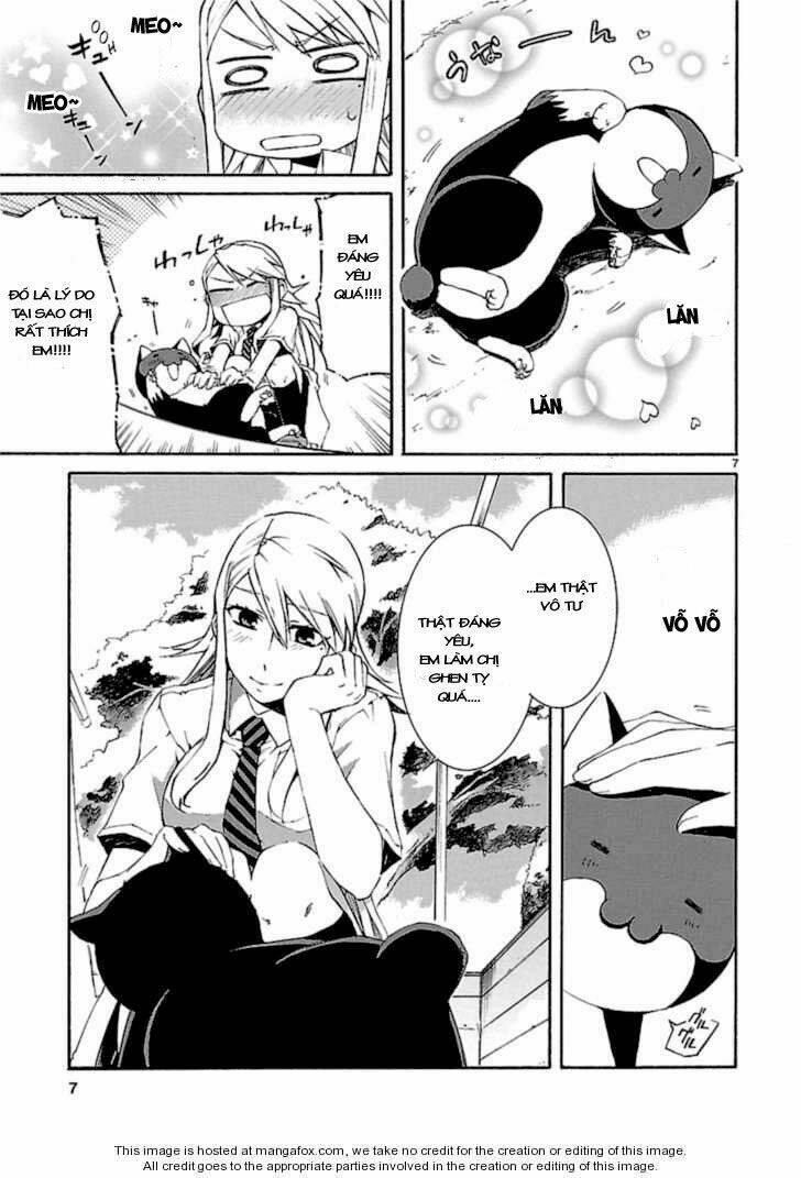 Nyankoi! Chapter 23 - Trang 7