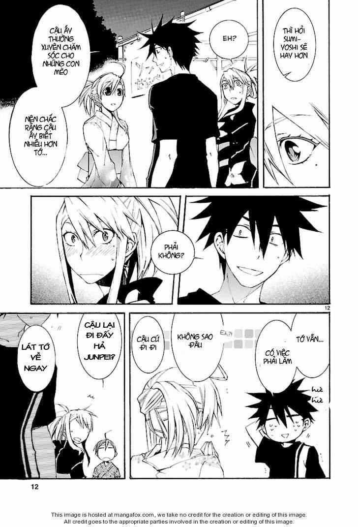 Nyankoi! Chapter 25 - Trang 12