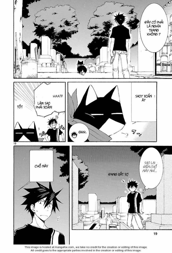 Nyankoi! Chapter 25 - Trang 19