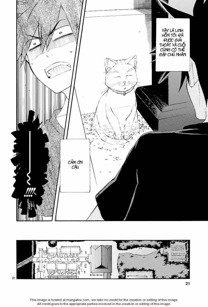 Nyankoi! Chapter 25 - Trang 21
