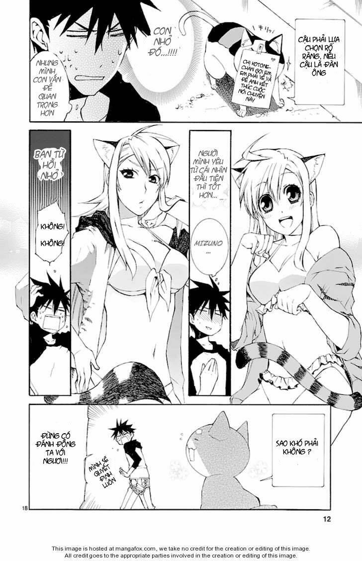 Nyankoi! Chapter 26 - Trang 17