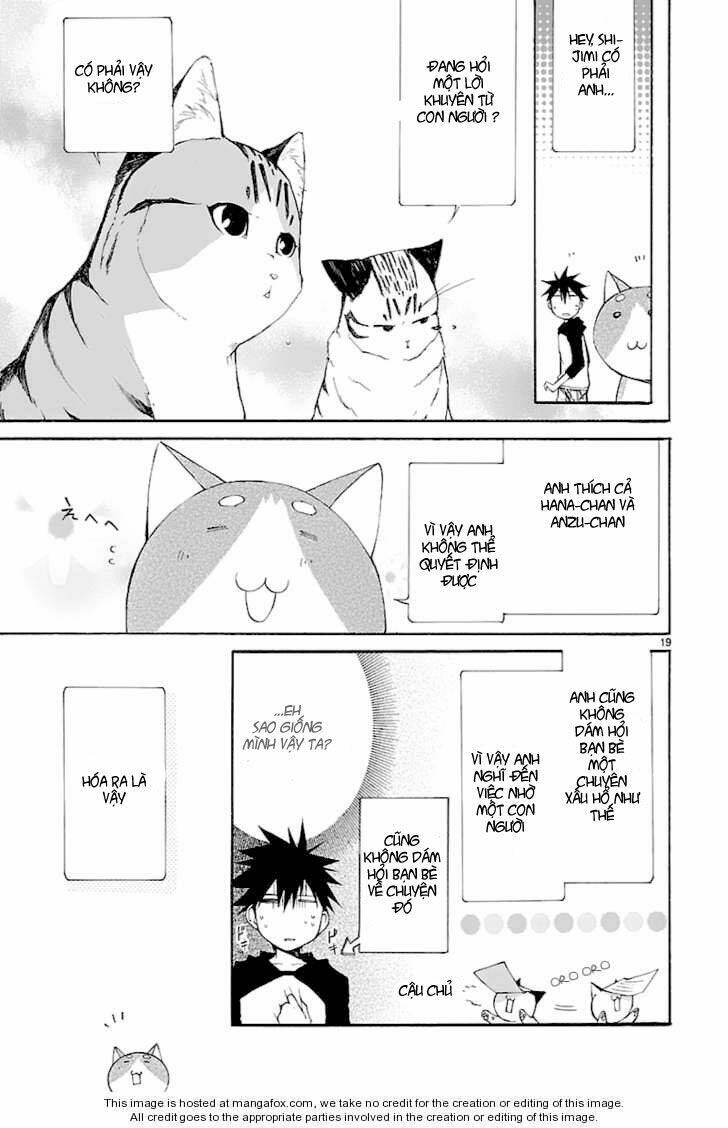 Nyankoi! Chapter 26 - Trang 18