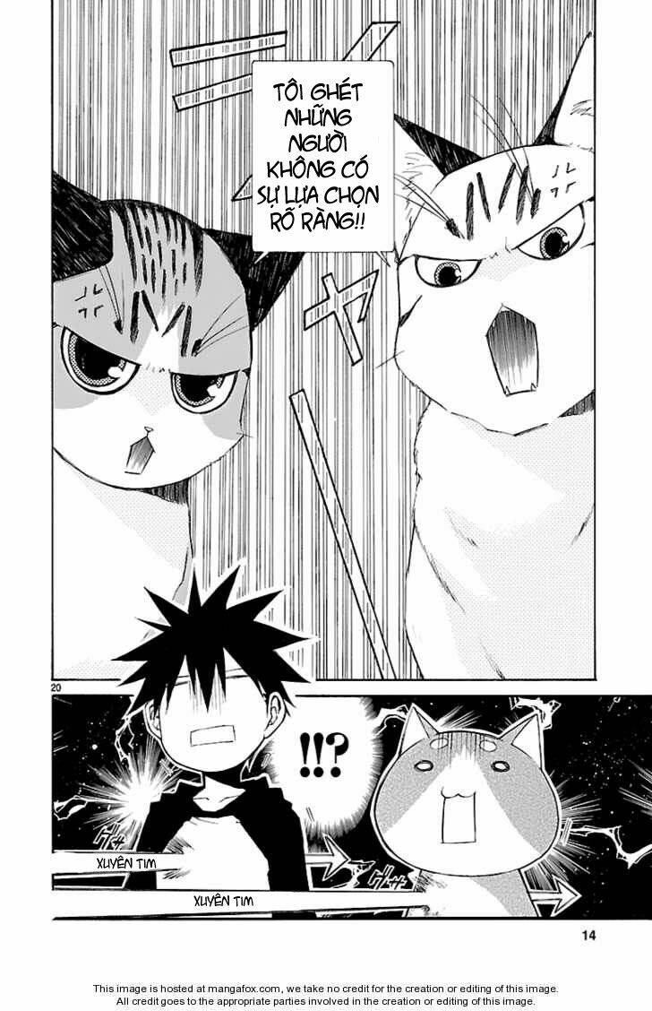 Nyankoi! Chapter 26 - Trang 19