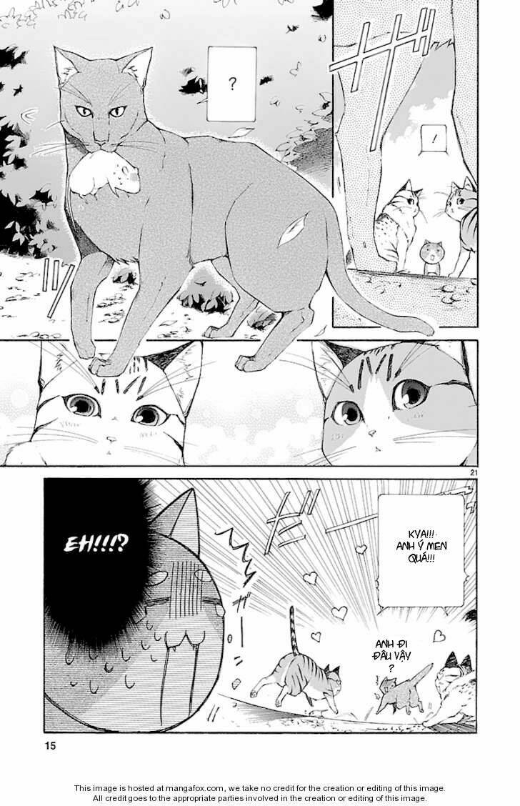 Nyankoi! Chapter 26 - Trang 20
