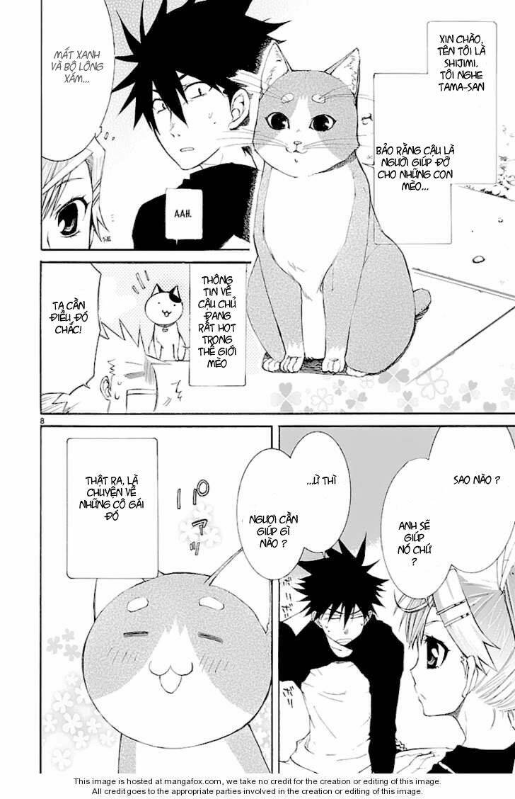 Nyankoi! Chapter 26 - Trang 7