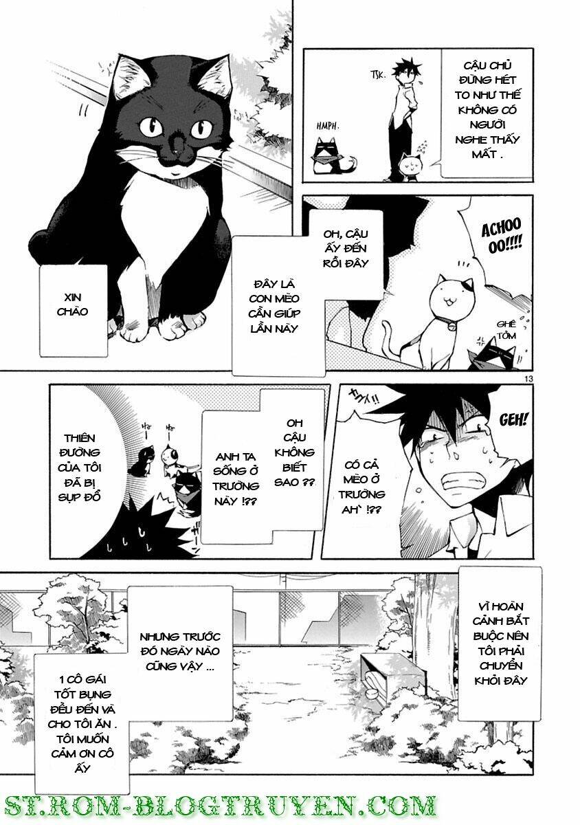 Nyankoi! Chapter 3 - Trang 13