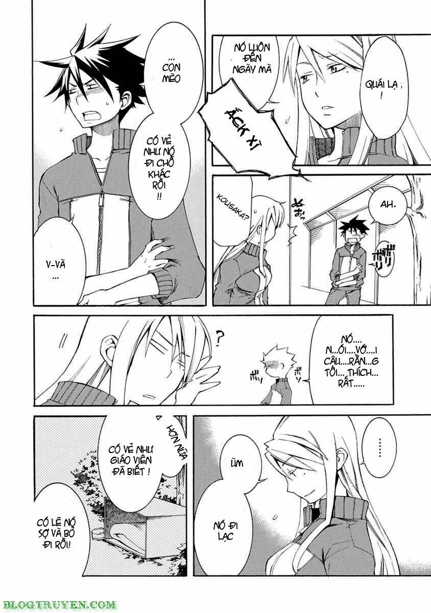 Nyankoi! Chapter 4 - Trang 28