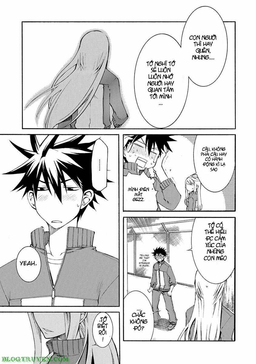 Nyankoi! Chapter 4 - Trang 31