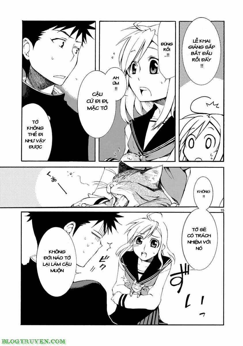 Nyankoi! Chapter 5 - Trang 15