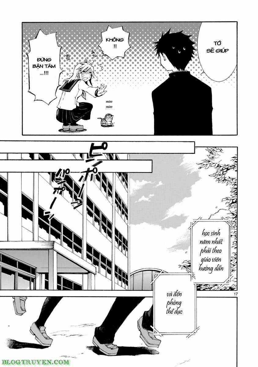 Nyankoi! Chapter 5 - Trang 17