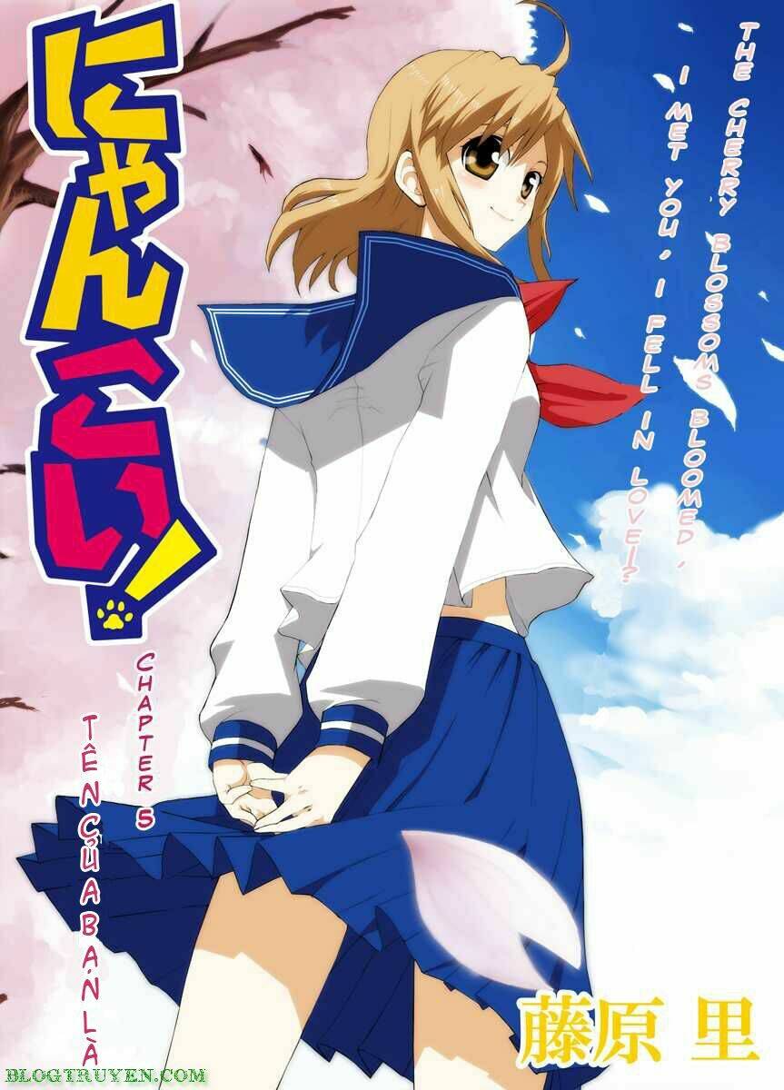 Nyankoi! Chapter 5 - Trang 1
