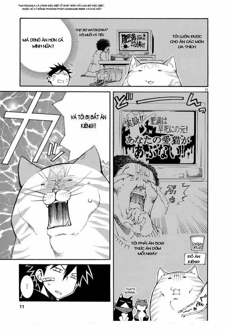 Nyankoi! Chapter 8 - Trang 11