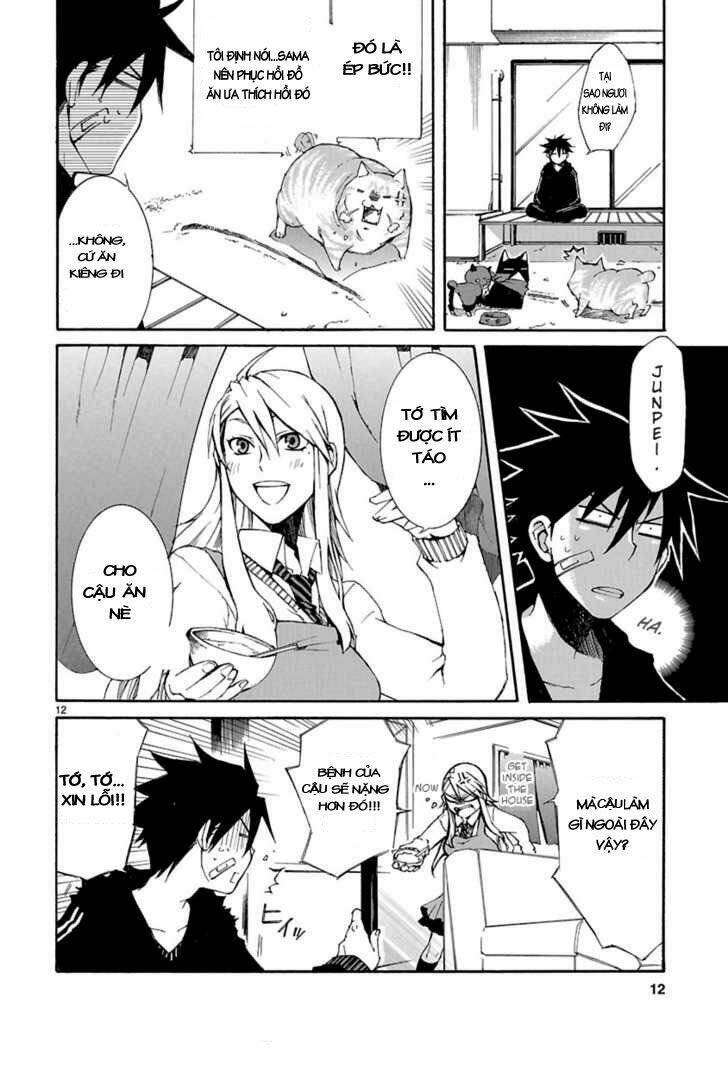 Nyankoi! Chapter 8 - Trang 12