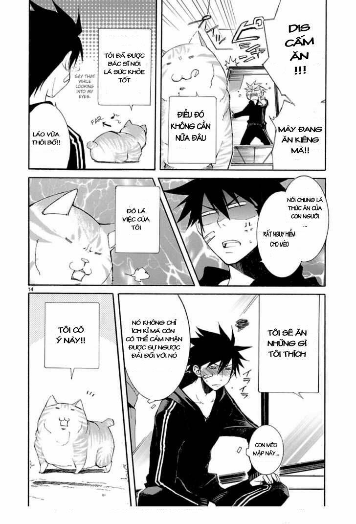 Nyankoi! Chapter 8 - Trang 14