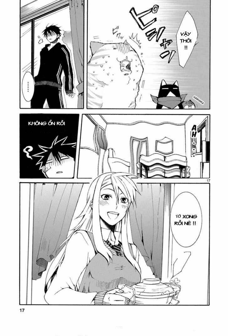 Nyankoi! Chapter 8 - Trang 17