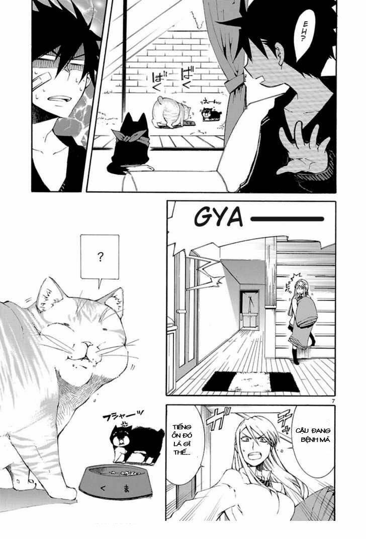 Nyankoi! Chapter 8 - Trang 7
