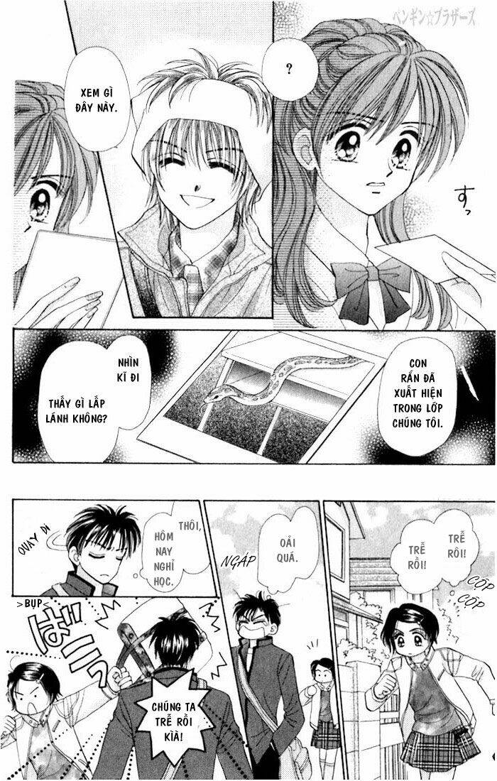 Penguin Brothers Chapter 10 - Trang 15