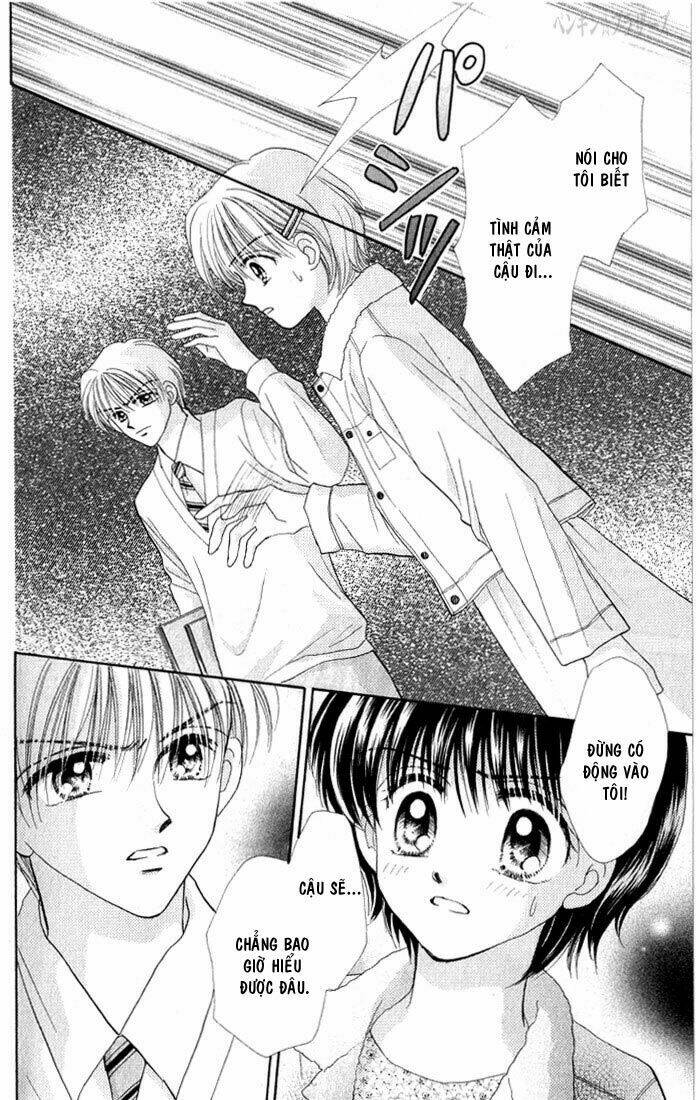 Penguin Brothers Chapter 20 - Trang 8