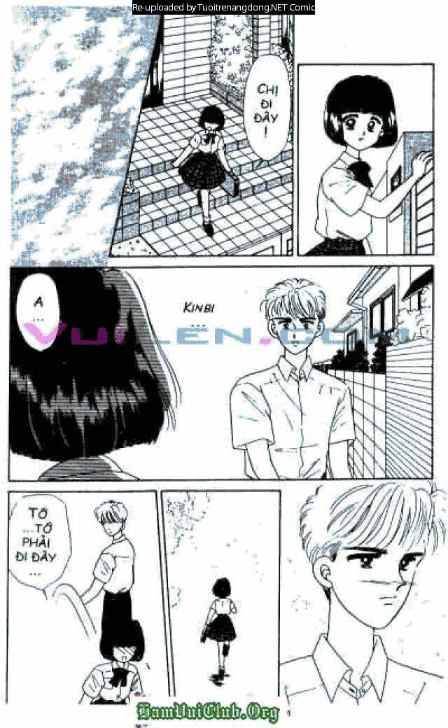 Cánh thiên nga Chapter 23 - Trang 11