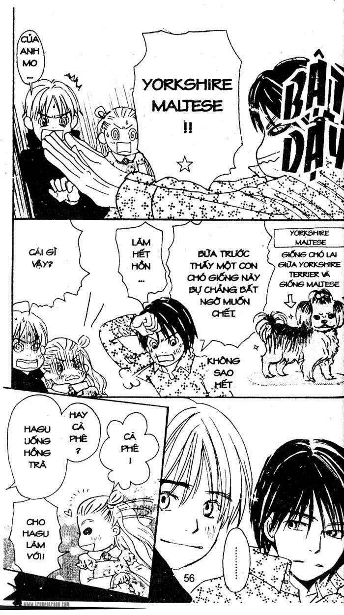 Tình Yêu Và Cuộc Sống Chapter 17 - Trang 25