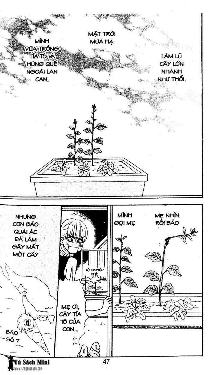 Tình Yêu Và Cuộc Sống Chapter 24 - Trang 1