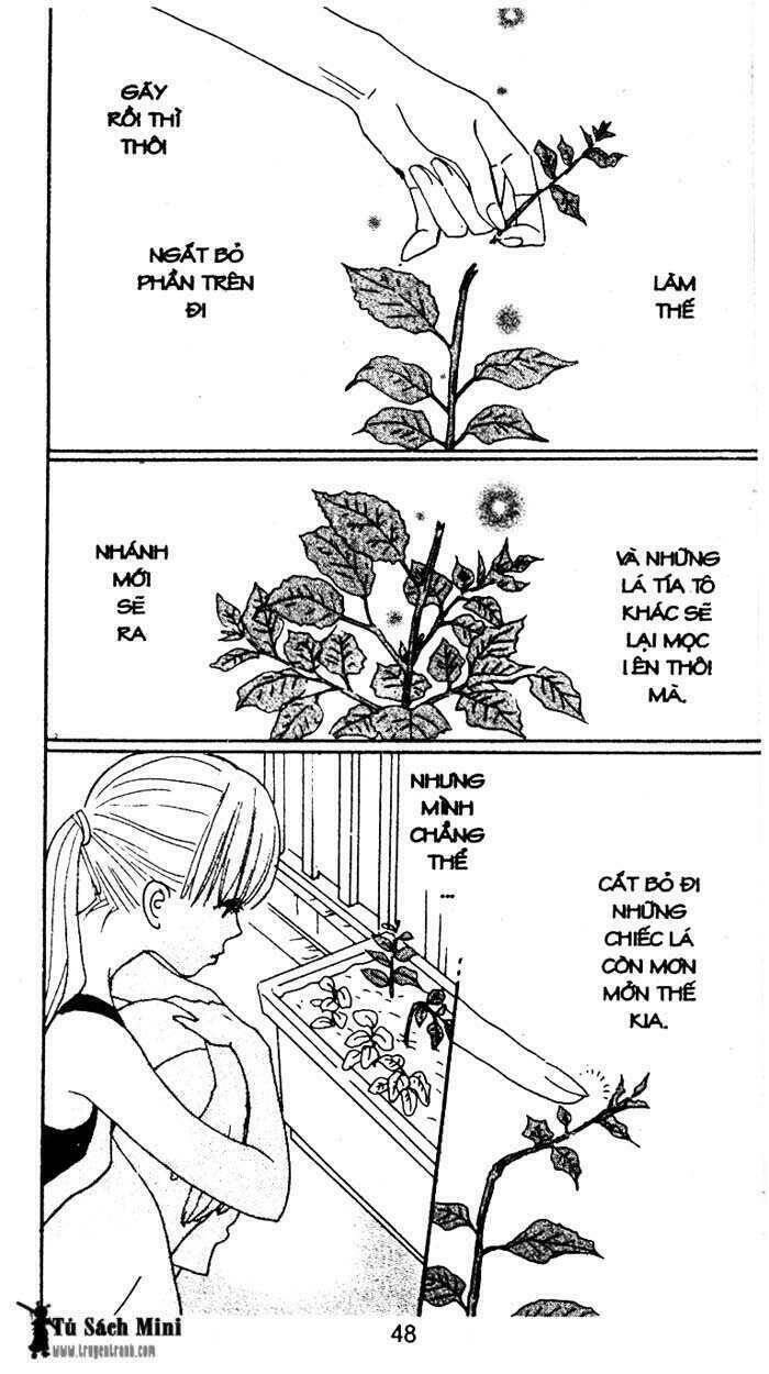 Tình Yêu Và Cuộc Sống Chapter 24 - Trang 2