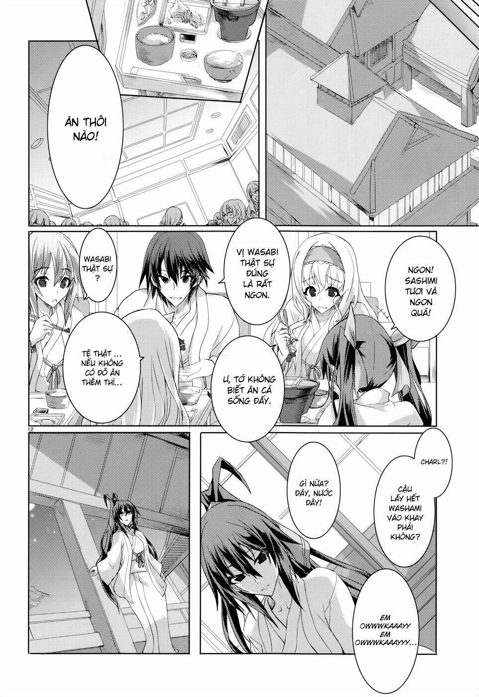 Infinite Stratos Chapter 21 - Trang 12