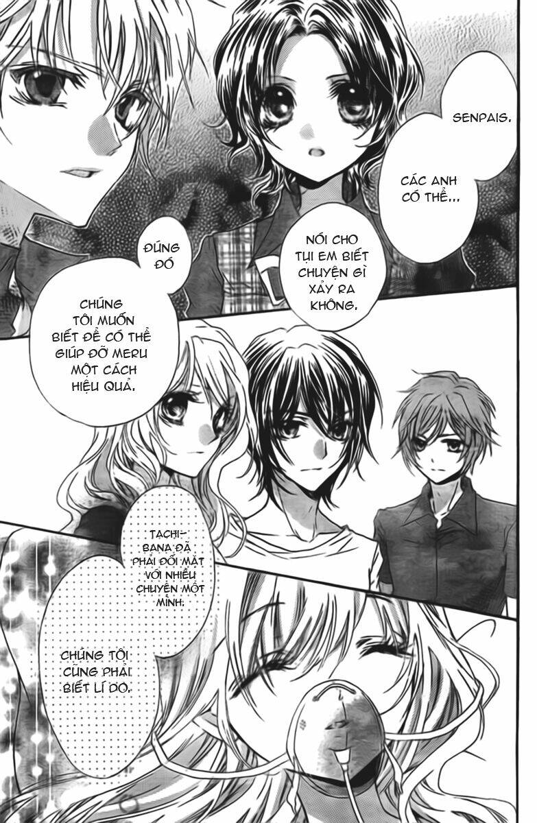 Fly High! Chapter 12 - Trang 4