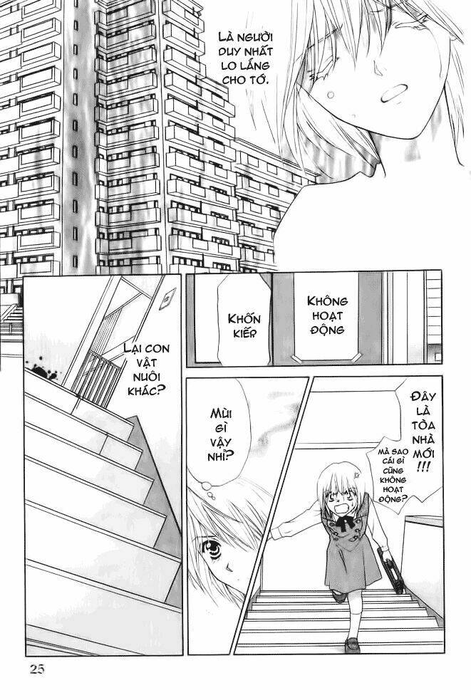 Diabolo Chapter 1 - Trang 25