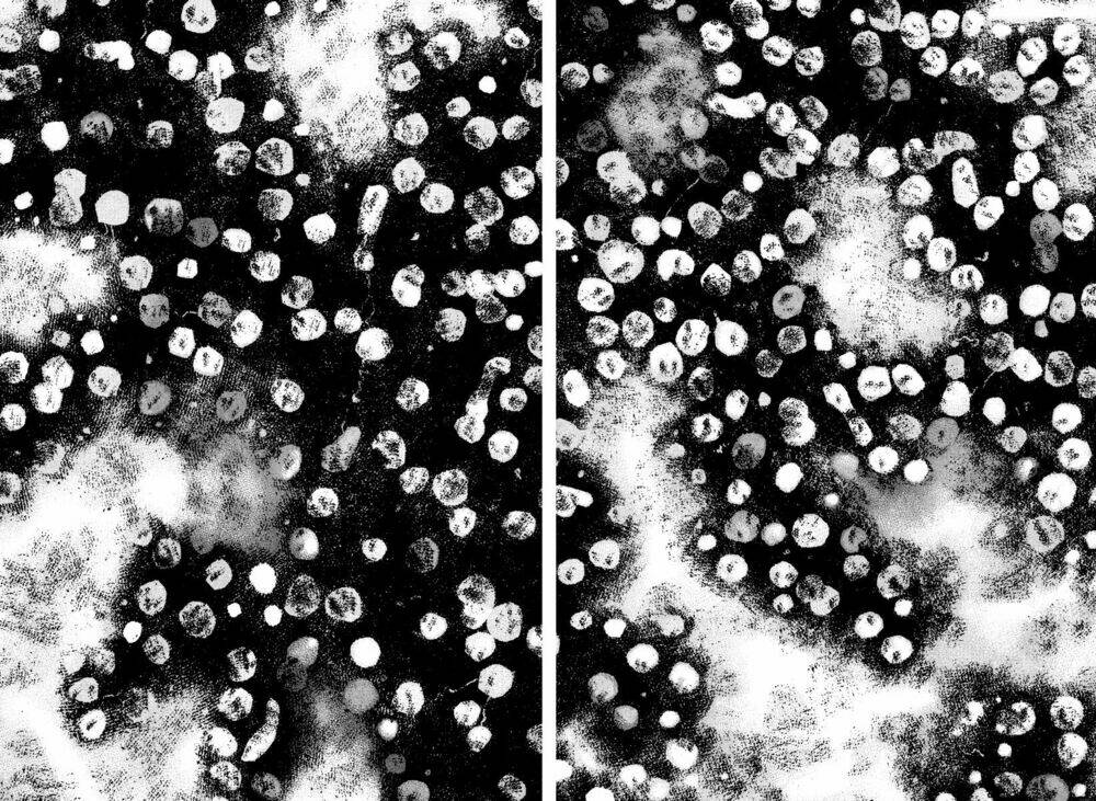 Emerging Chapter 5 - Trang 21