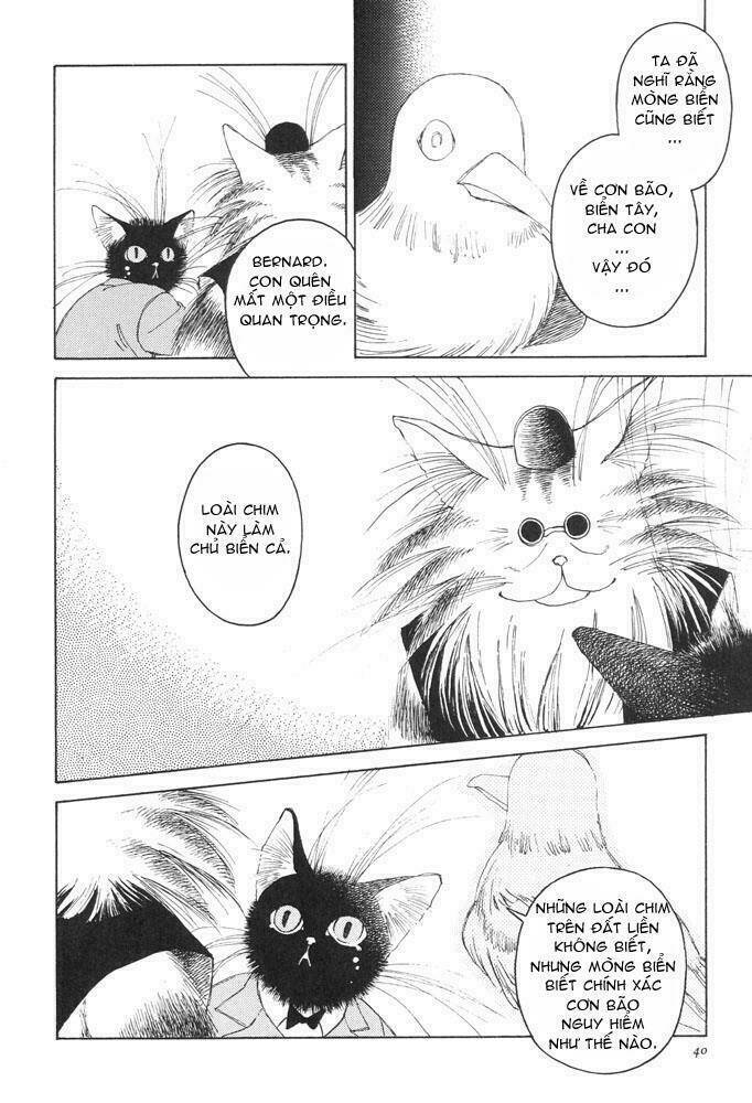 Bernie's Drawing Diary Chapter 1 - Trang 35